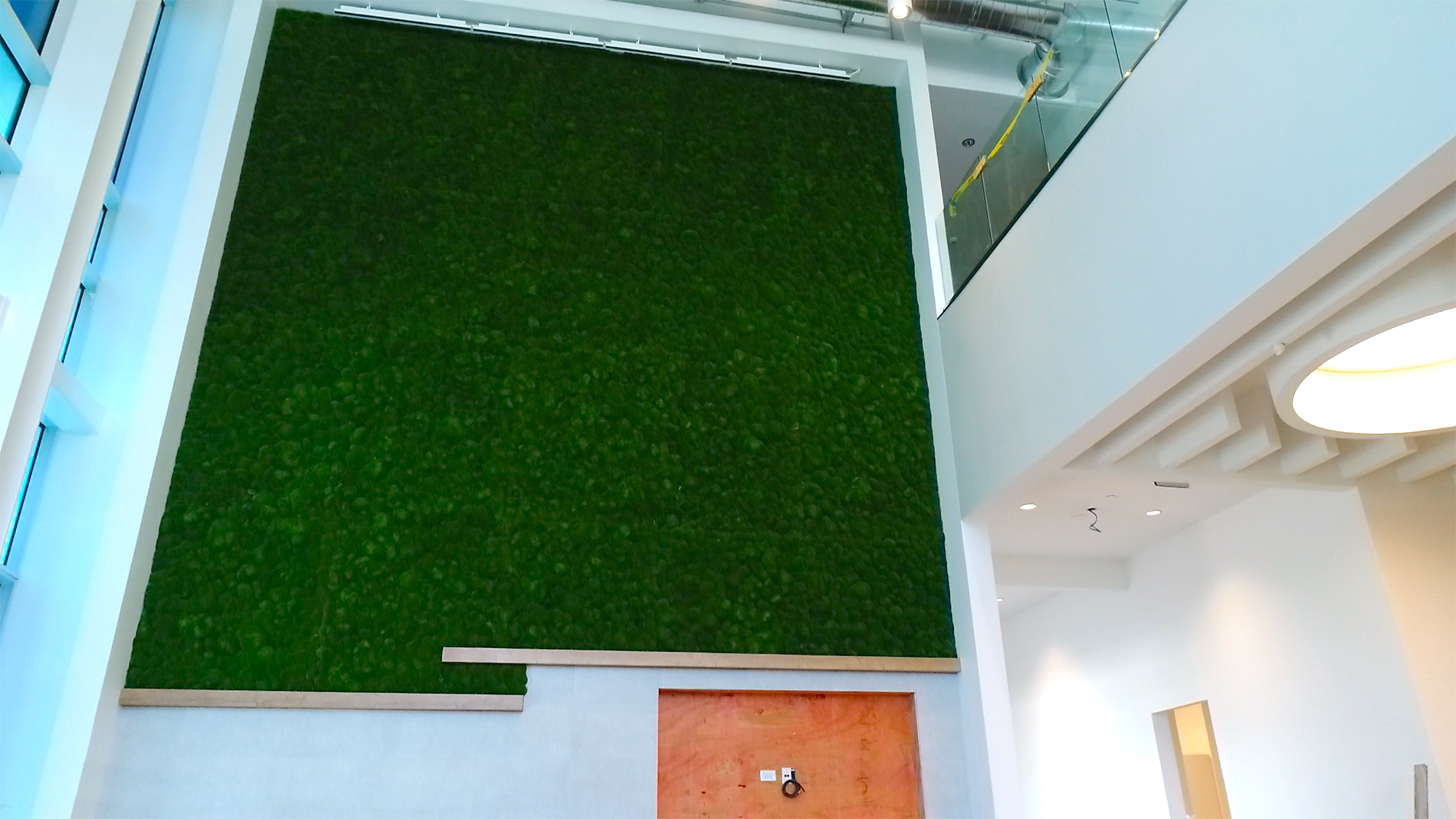 Looking up at a tall white wall with a large mossy section toward the top in the newly built DHL Americas Innovation Center built by Keeley Construction, Inc.