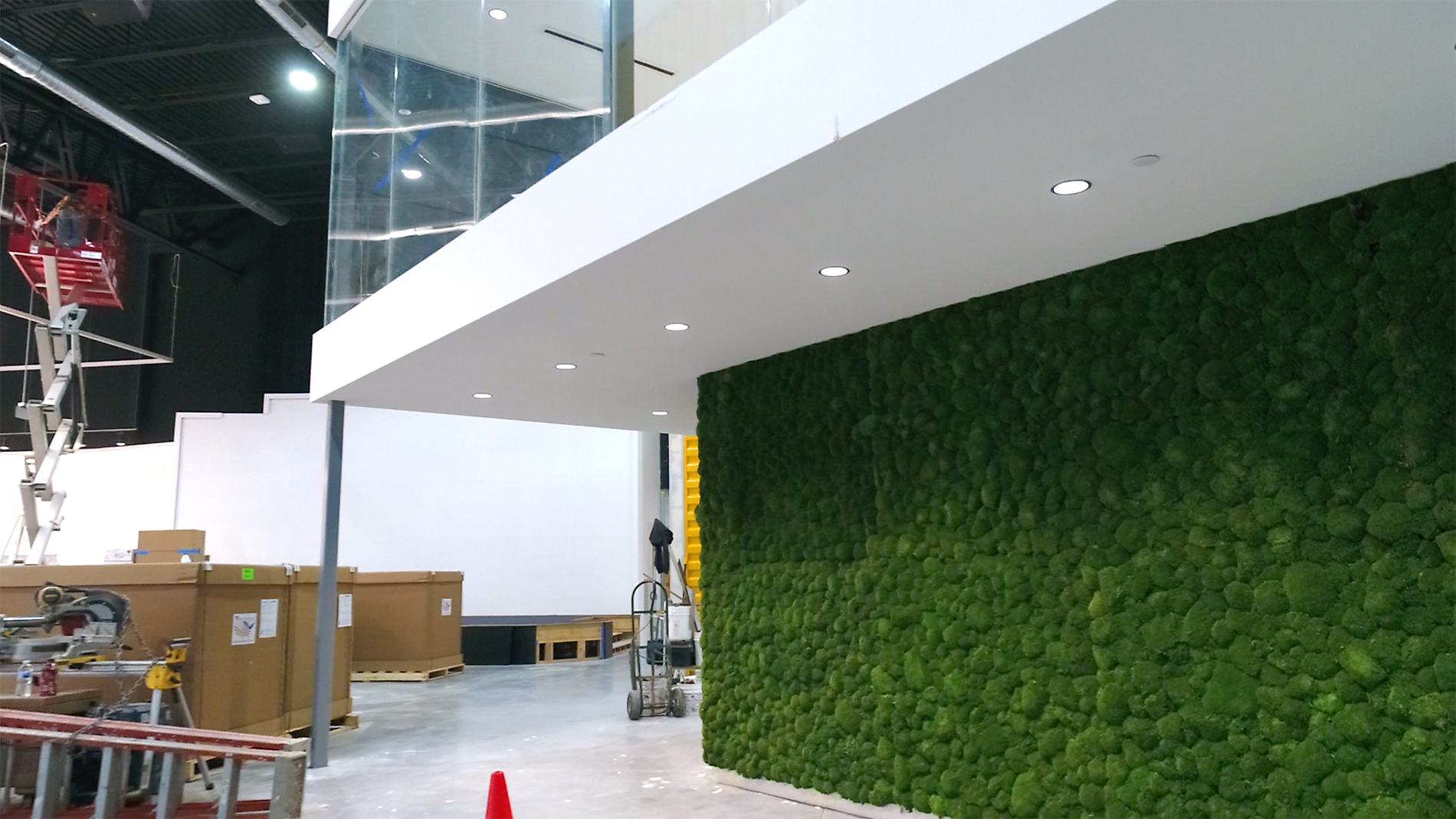 A green mossy wall with a white roof and ladders nearby.