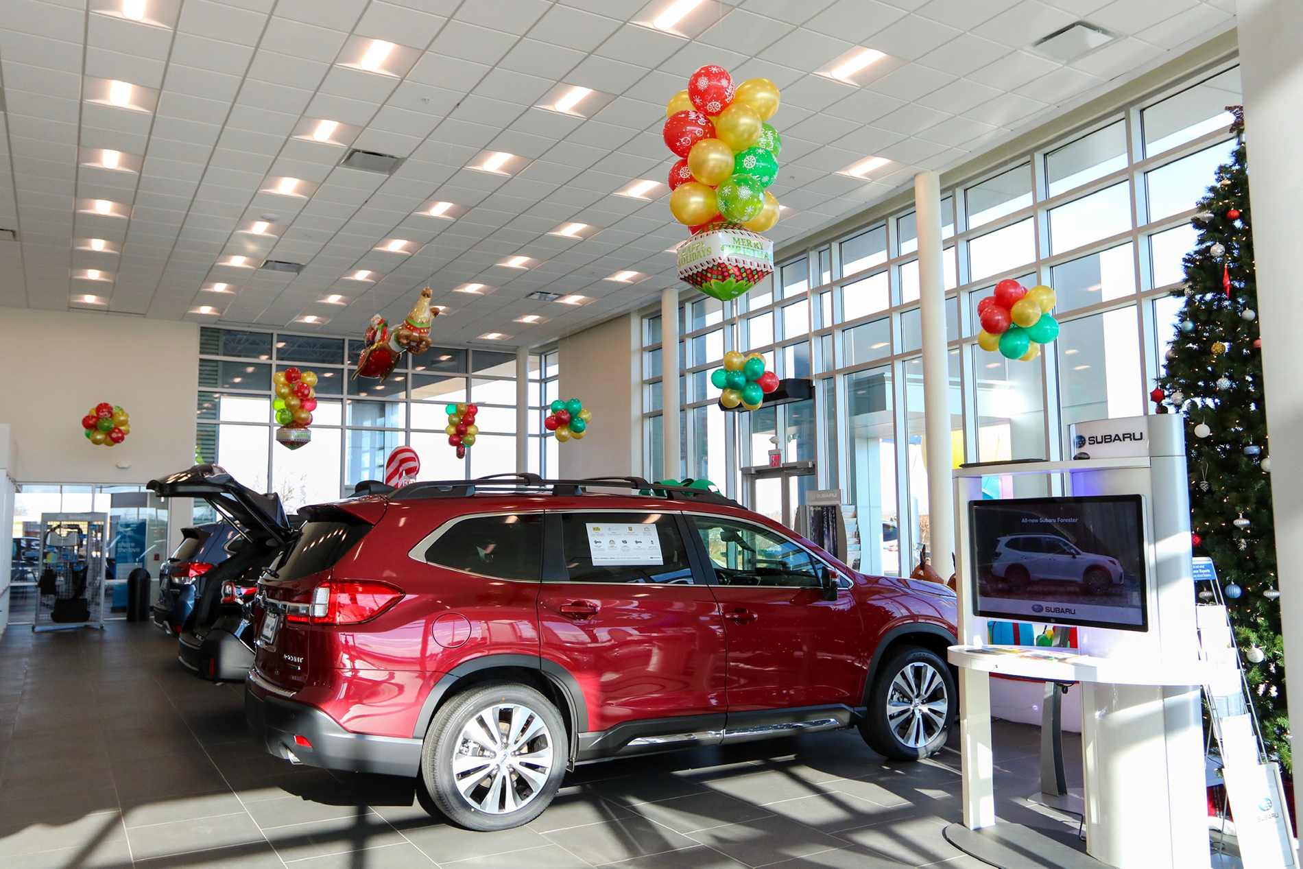 Inside the showroom of the new Hawk Auto dealership, a new red Subaru is parked in a line of other new cars in front of large glass windows adorned with balloons.